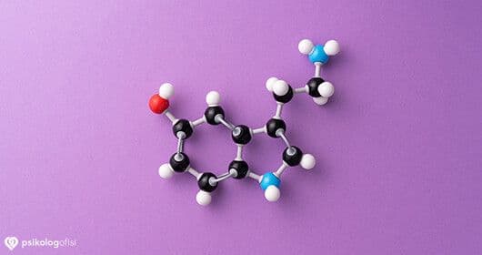 serotonin hormonu